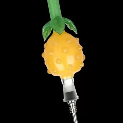 Perky Pineapple Glass Honey Straw with Titanium Tip