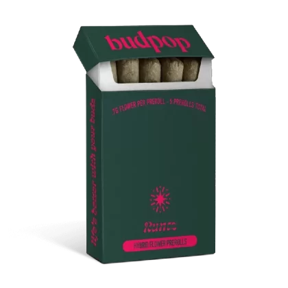 BudPop THCA Pre-Roll – Runtz