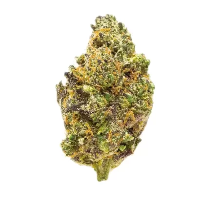 Gold Spectrum Connoisseur Premium Government Oasis THC-A Flower