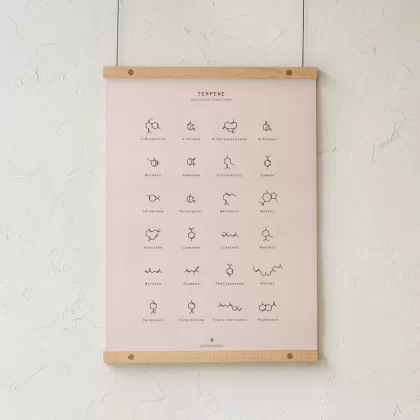 GoldLeaf Terpene Molecular Structures Chart Print