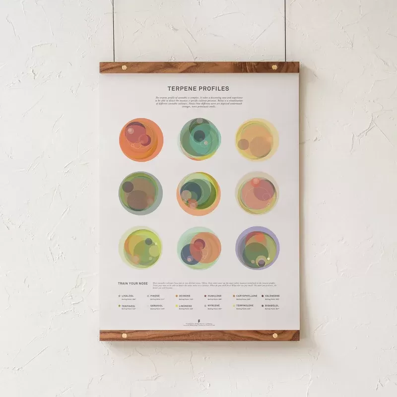 GoldLeaf Terpene Profile Illustration Print