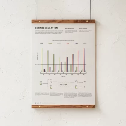 GoldLeaf Decarboxylation Infographic Print