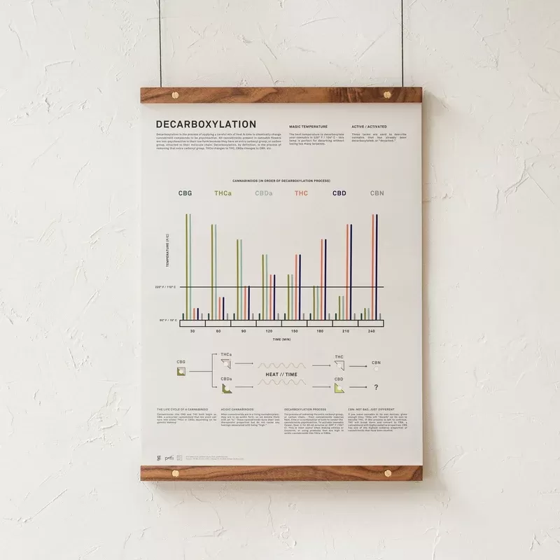 GoldLeaf Decarboxylation Infographic Print