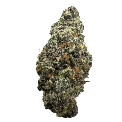 Shelf Creamsical THCa Flower