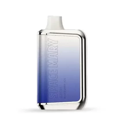 Blueberry Ice – Space Mary SM8000