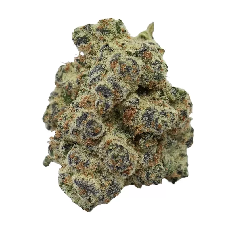 Shelf Jet Fuel Gelato THCa Flower