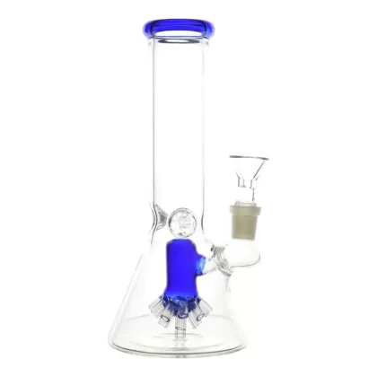 Blastoid Beaker – 8.5in