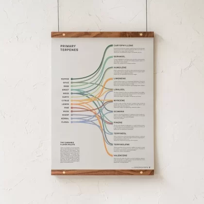 GoldLeaf Terpenes Infographic Print