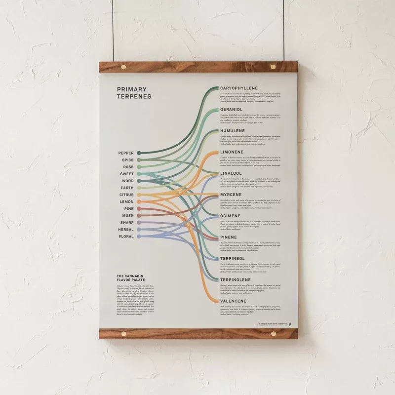 GoldLeaf Terpenes Infographic Print