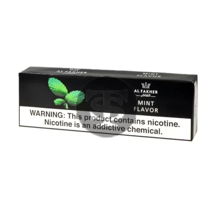 Al Fakher Mint Hookah Shisha 10 Packs of 50g