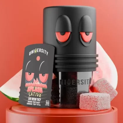 Watermelon Splash – THCP Live Rosin Premium Gummies