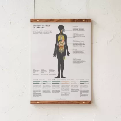 GoldLeaf Delivery Methods of Cannabis Chart Print