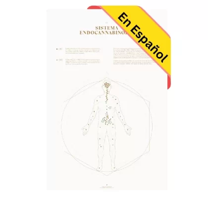 GoldLeaf Mapa de la Sistema Endocannabinoide Impresión