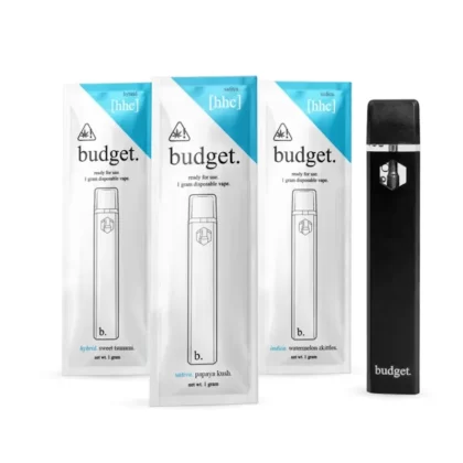 Budget HHC Vaporizer – 1000mg