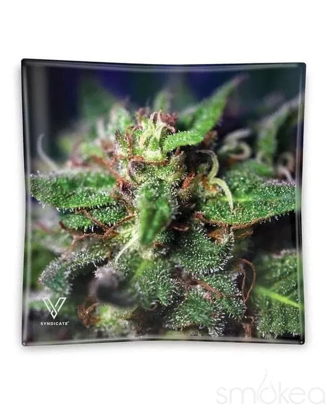 V Syndicate “Blue Dream” Glass Ashtray