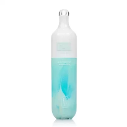 Flum Float Aloe Mango Melon Ice
