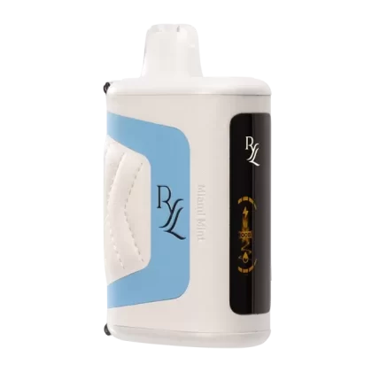 Miami Mint RYL Classic by RAZ 35K Disposable