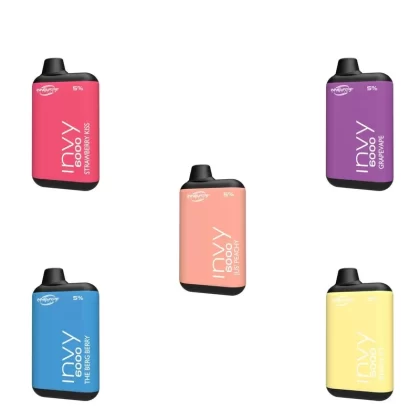 Innevape Invy Rechargeable Disposable Vape (6000 Puffs) – BOGO