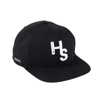 Higher Standards Snapback