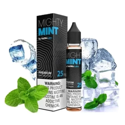 Vgod Saltnic Mighty Mint SALT NIC