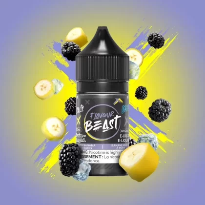Flavour Beast NIC SALT – 10Mg