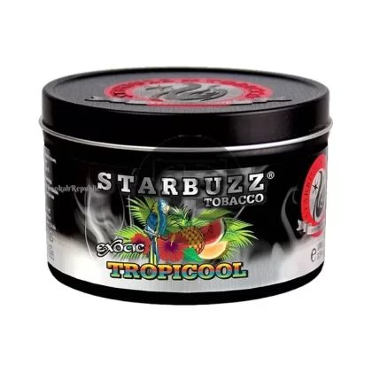 StarBuzz Bold Tropicool Hookah Shisha 250g