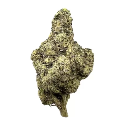 Shelf Sherbanger THCa Flower